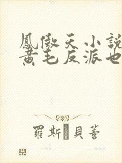 凤傲天小说中的黄毛反派也想要幸福封面