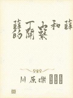 薛丁山和薛仁贵的关系