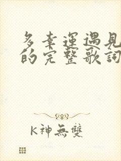 多幸运遇见了你的完整歌词