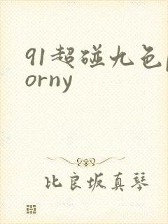 91超碰九色porny