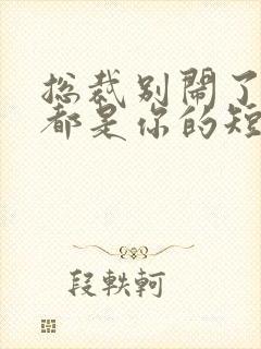 总裁别闹了孩子都是你的短剧免费观看全集封面