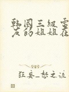 韩国三级电影朋友的姐姐在线观看