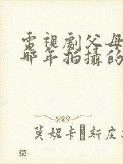 电视剧父母爱情哪年拍摄的