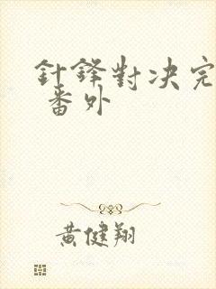 针锋对决完整版 番外