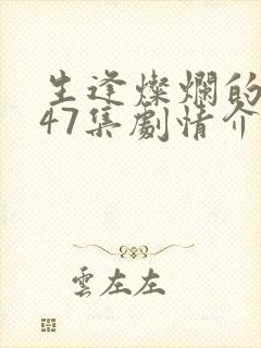 生逢灿烂的日子47集剧情介绍