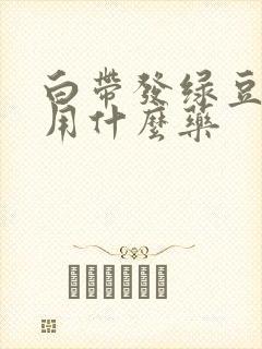 白带发绿豆腐渣用什么药