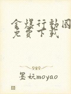 金爆行动国语版免费下载