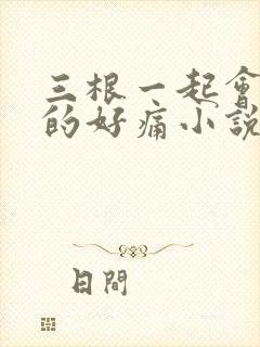 三根一起会坏掉的好痛小说封面