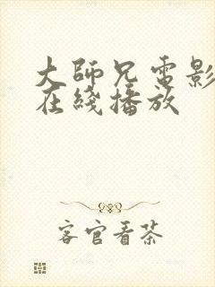 大师兄电影免费在线播放封面