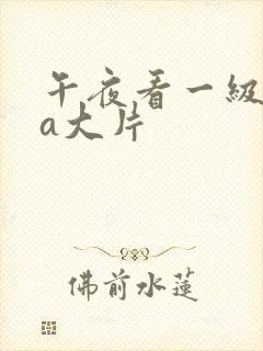 午夜看一级特黄a大片