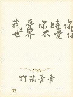 我爱你时你是全世界 不爱你时候的句子