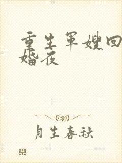 重生军嫂回到新婚夜