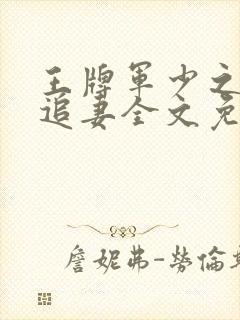 王牌军少之特战追妻全文免费txt封面