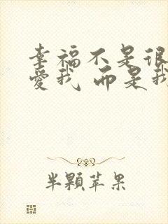 幸福不是很多人爱我 而是我爱的人也爱我