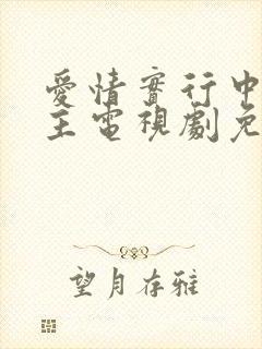 爱情实行中双男主电视剧免费观看封面