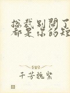 总裁别闹了孩子都是你的短剧免费观看全集