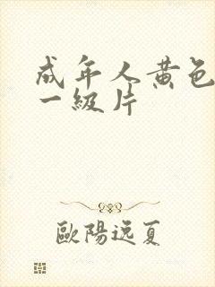 成年人黄色录像一级片