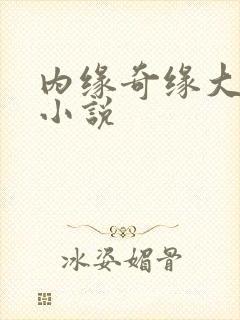 内缘奇缘大团圆小说