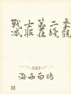 战士第二季未删减版在线观看