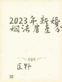 2023年新婚姻法房产分配