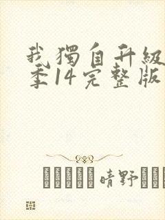 我独自升级第二季14完整版