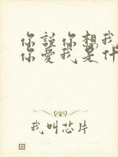 你说你想我你说你爱我是什么歌封面