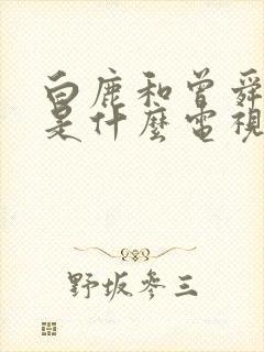 白鹿和曾舜演的是什么电视剧