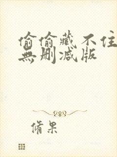 偷偷藏不住小说无删减版