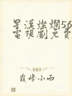 星汉灿烂56集电视剧免费看全集