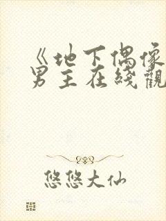 《地下偶像》双男主在线观看封面