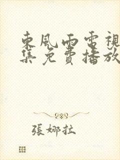 东风雨电视剧全集免费播放在线观看封面
