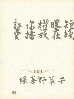 许你耀眼短剧免费播放在线观看