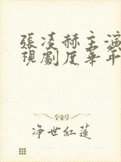 张凌赫主演的电视剧度华年封面