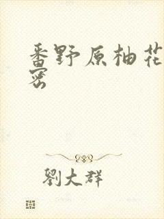 番野原柚花的秘密