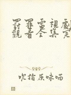 罚罪电视剧免费观看全集完整