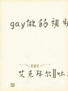 gay做的视频