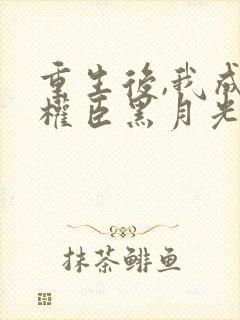 重生后,我成了权臣黑月光