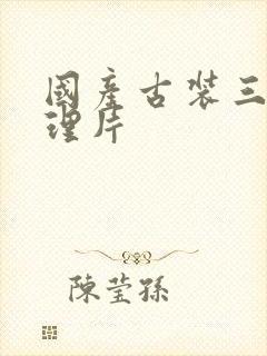 国产古装三级伦理片