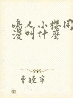 鸣人小樱同人动漫叫什么