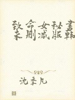 致命女秘书韩剧未删减版韩国