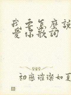 我要怎么说我不爱你歌词