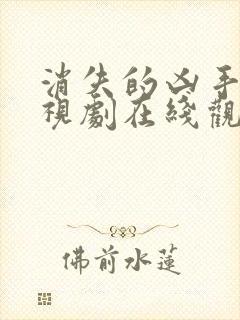 消失的凶手 电视剧在线观看