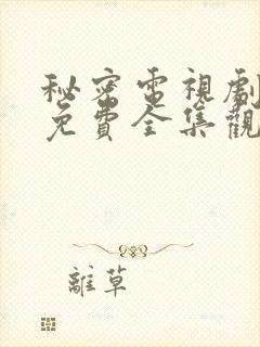 秘密电视剧韩剧免费全集观看封面