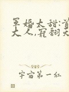 军婚太甜:首长大人,宠翻天