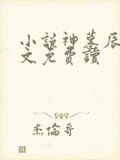 小说神墓辰东全文免费读