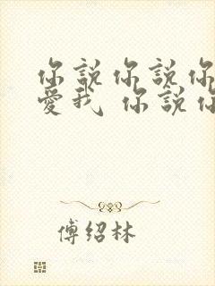 你说你说你还是爱我 你说你说你一直爱我封面