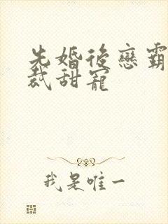 先婚后恋霸道总裁甜宠