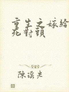 重生之嫁给前夫死对头