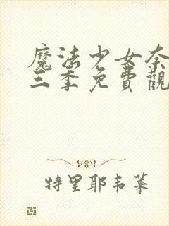 魔法少女奈叶第三季免费观看