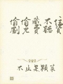 偷偷藏不住广播剧免费听资源